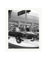 Alfa Romeo Spider 1600 Print Only / XXL