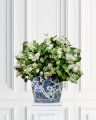 Lilac Cut Flower White