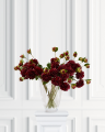 Dahlia snitblomst burgundy