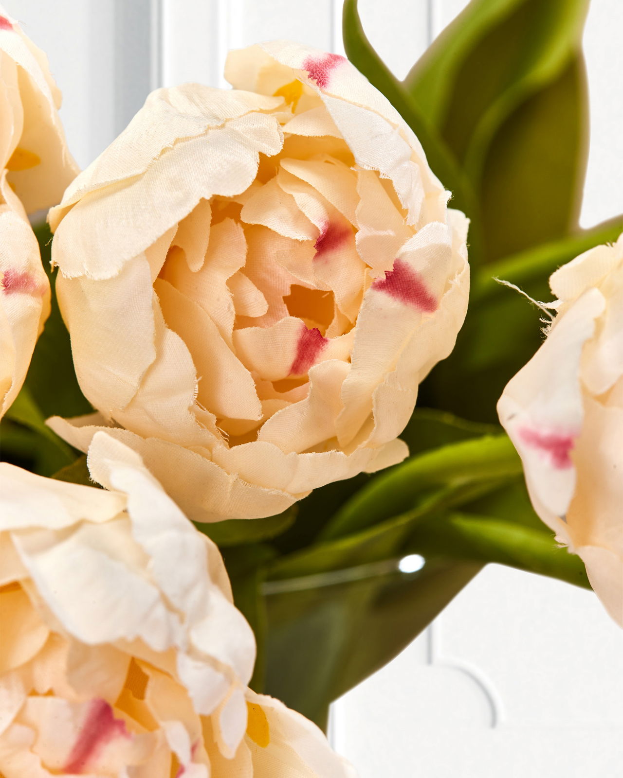 Tulpan snittblomma cream