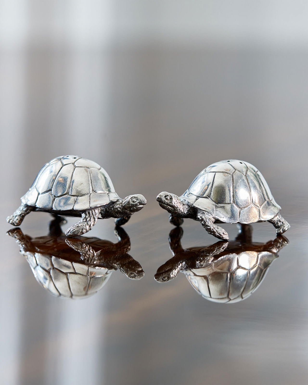 Sköldpaddor salt/pepparkar tenn