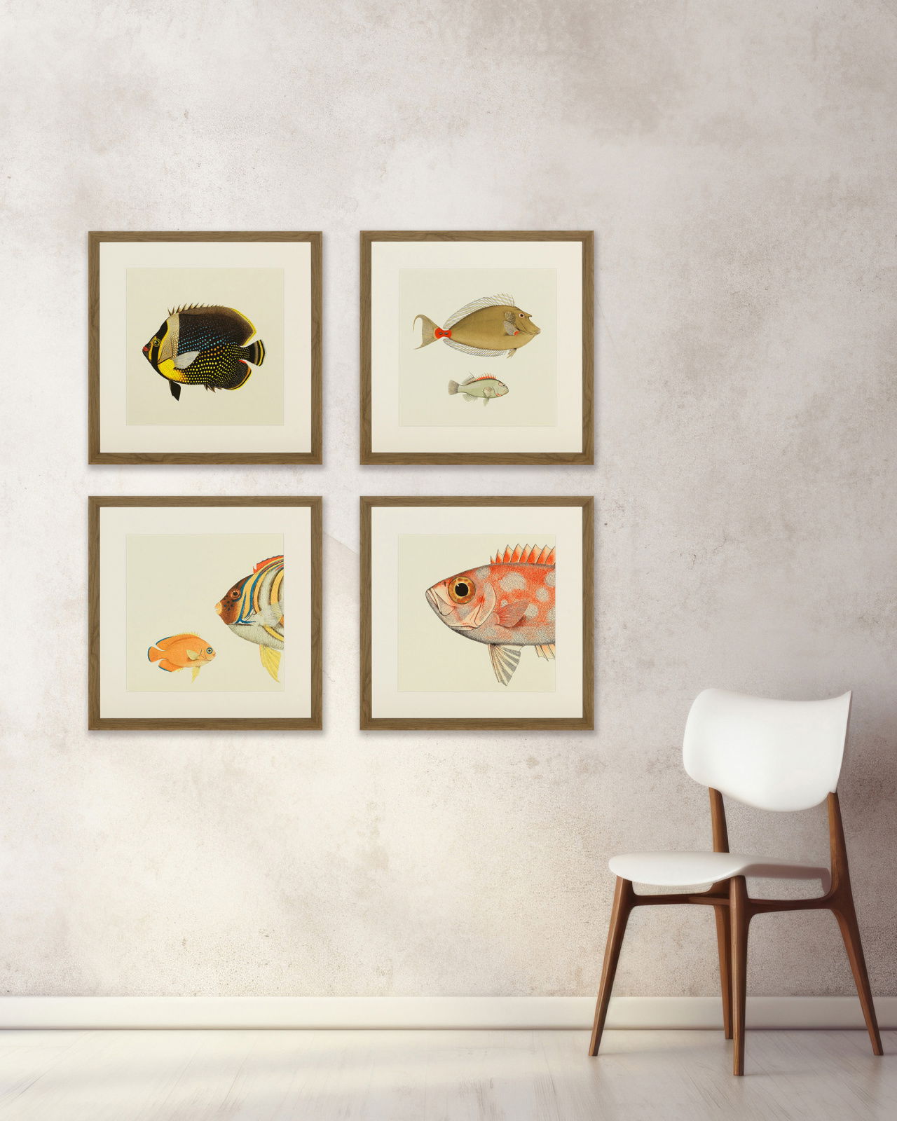 Fishes Set Of 4