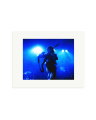 Jimmy Page 1977 Print Only / Small