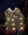 Trevor Gift LED Christmas Decoration Silver M