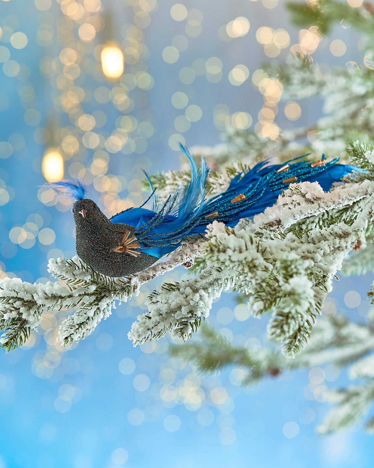 Phyllis-joulukoriste, riikinkukko