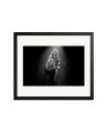 Van Halen Black / Large