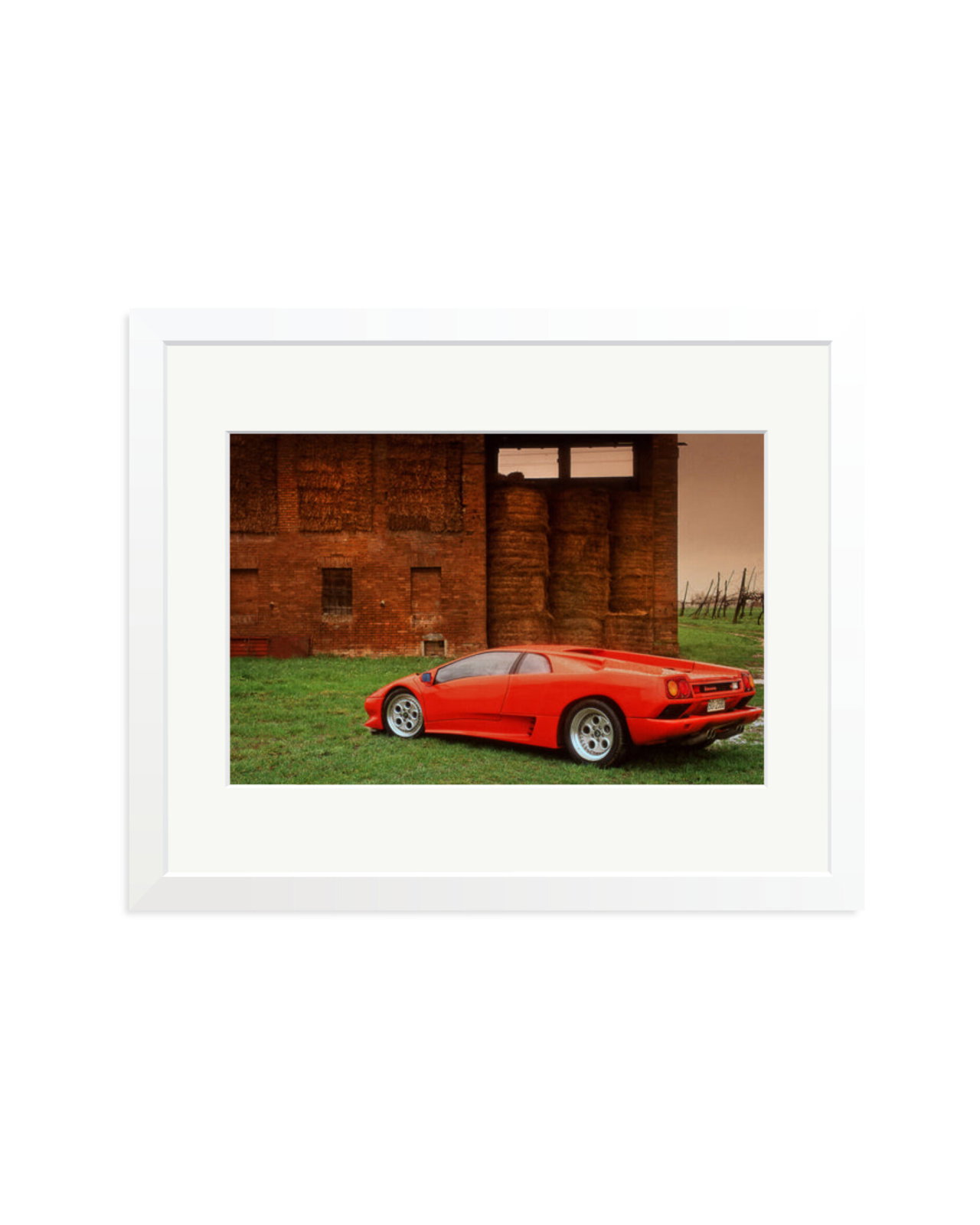 Lamborghini VT White / Medium