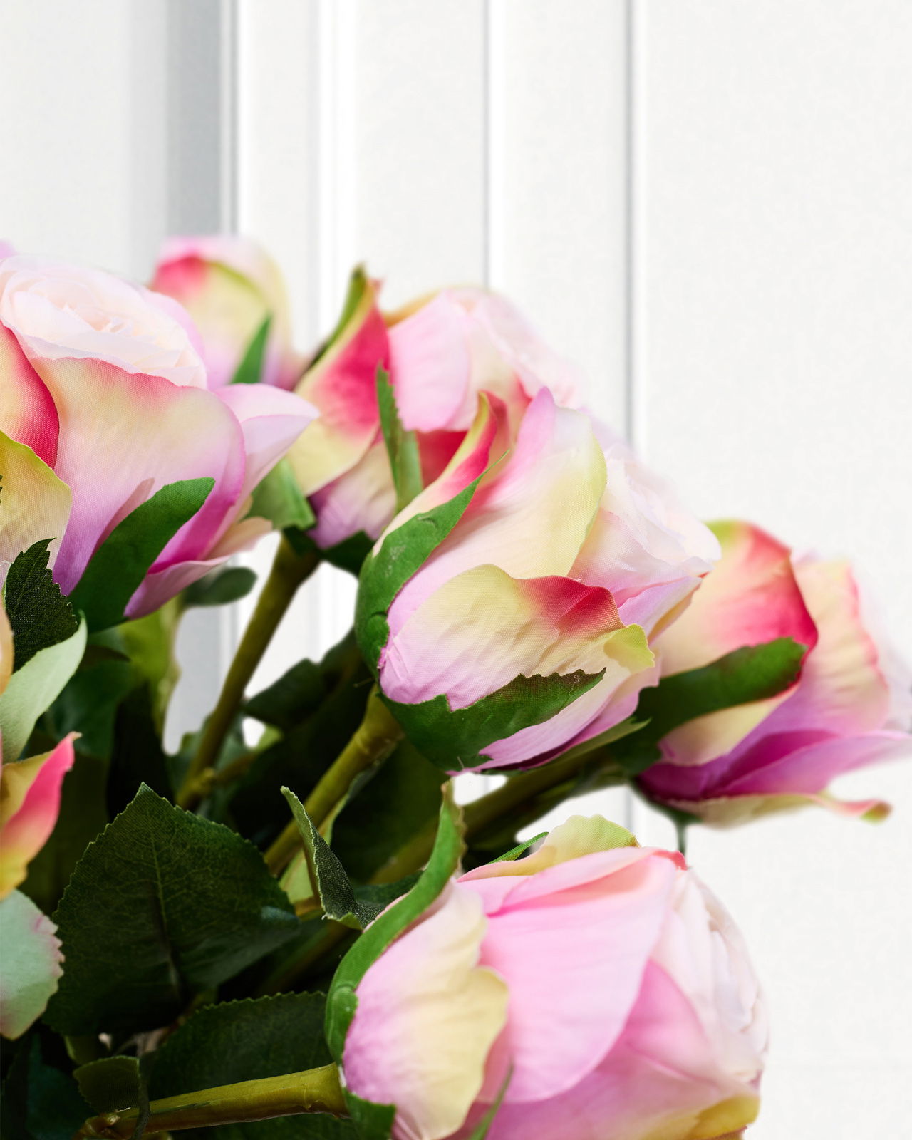 Rose Schnittblume rosa