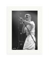 The Isolar II Tour Print Only / XL