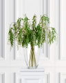 Berry Branch White