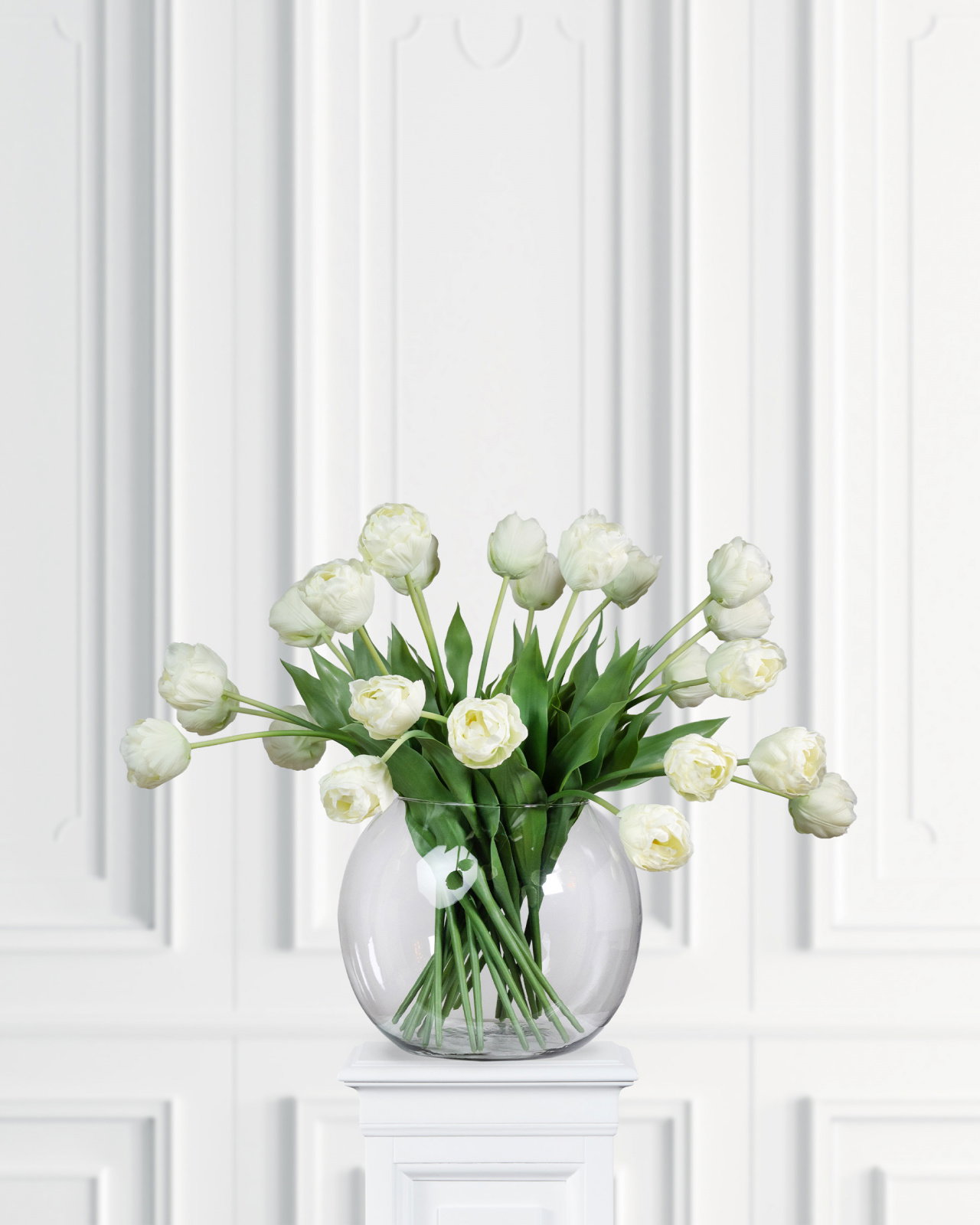 Tulpan snittblomma cream