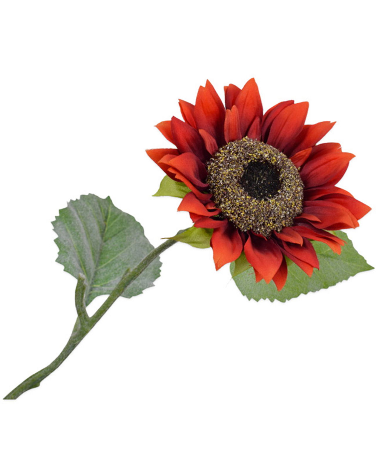 Sunflower red cut flower OUTLET