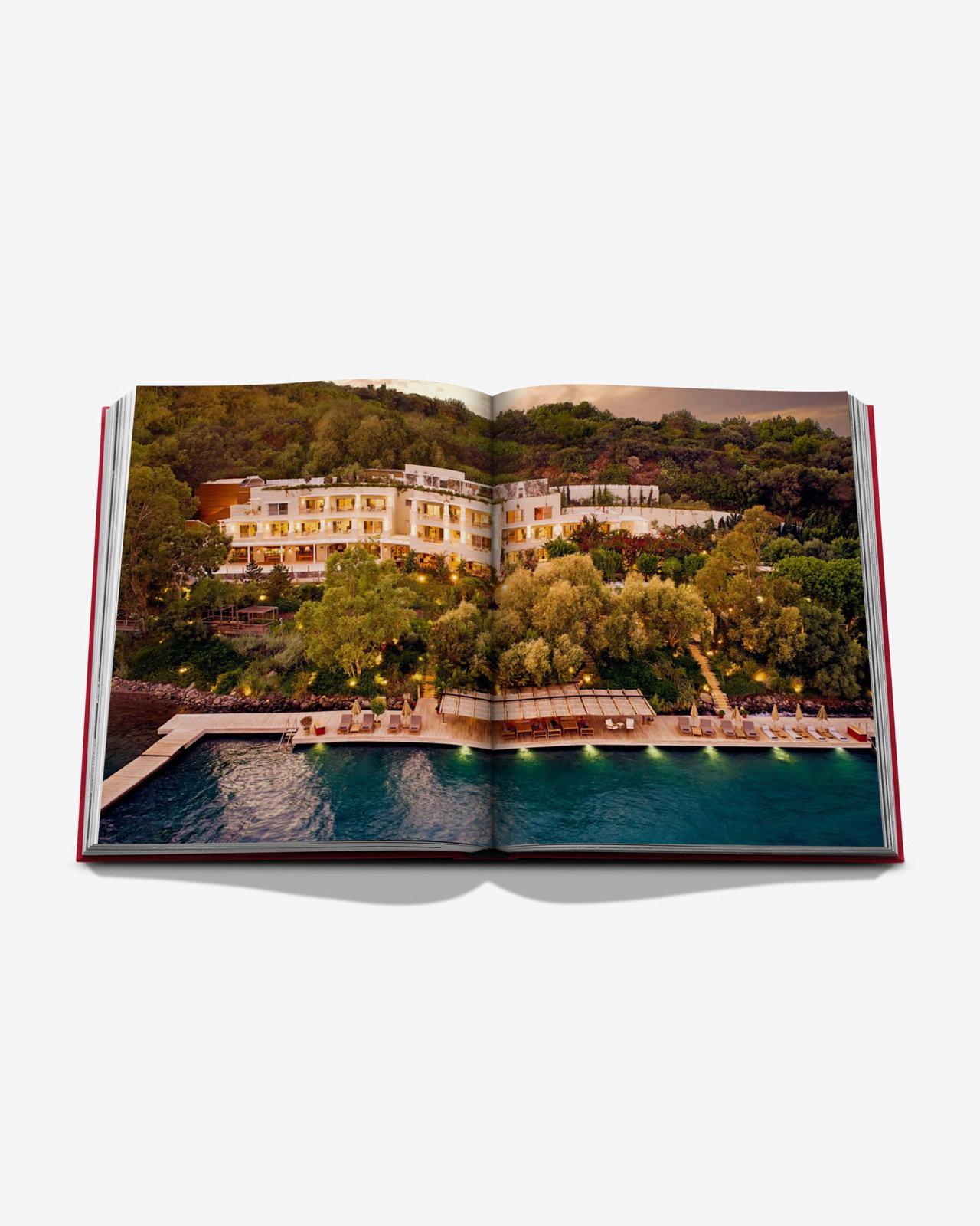 Maçakizi: Everlasting Summer