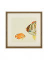 Fishes Set Of 4