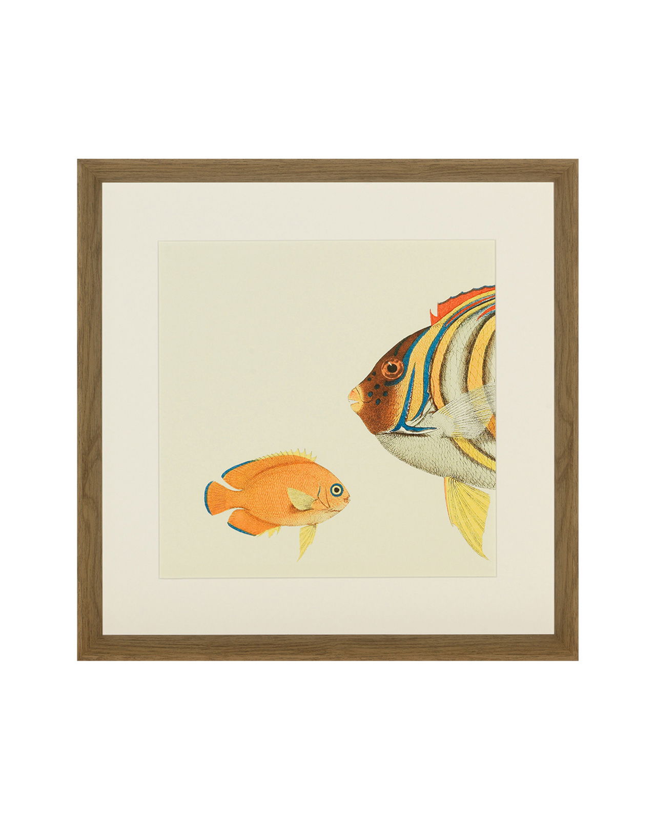 Fishes Set Of 4