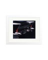 Cadillac Eldorado Black White / Small