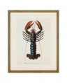 Lobster 2