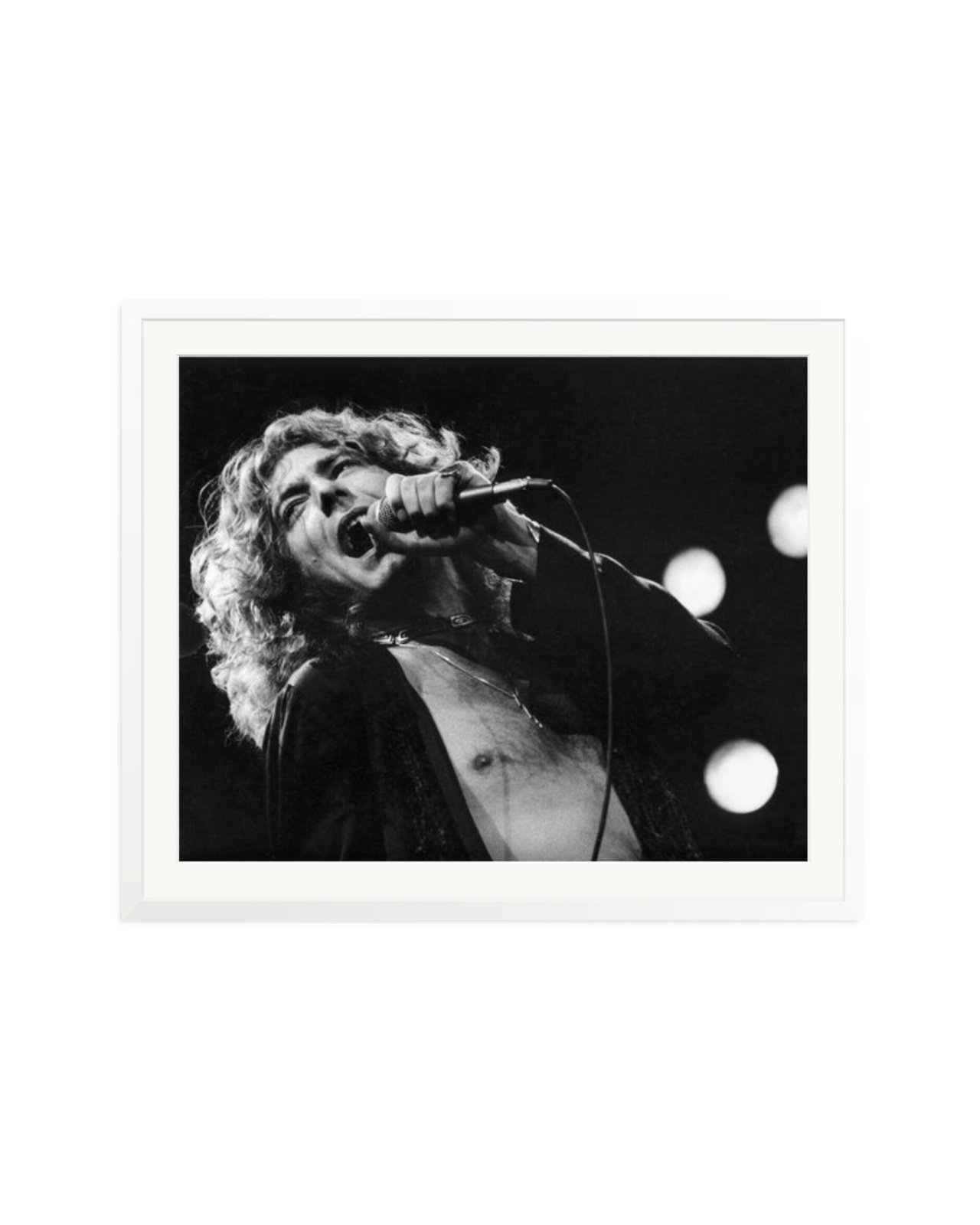 Robert Plant 1977 White / XXL