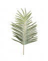 Fir Spruce Sprig Green