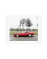 Ferrari 288 GTO, 2017 Print Only / Medium
