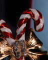Julius Candy Cane Brooch Red/White