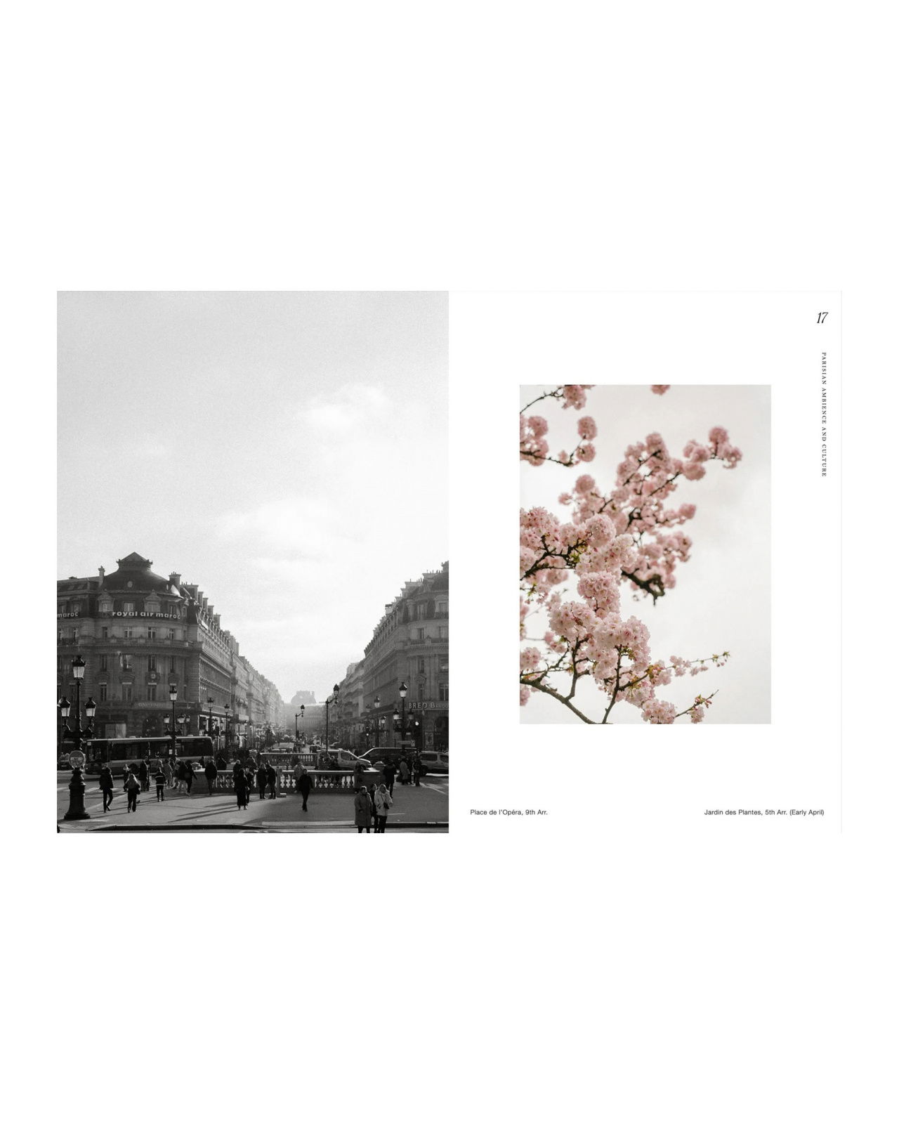 Paris – Dreamy Tips for the City of Love