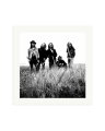 Pearl Jam Print Only / XL