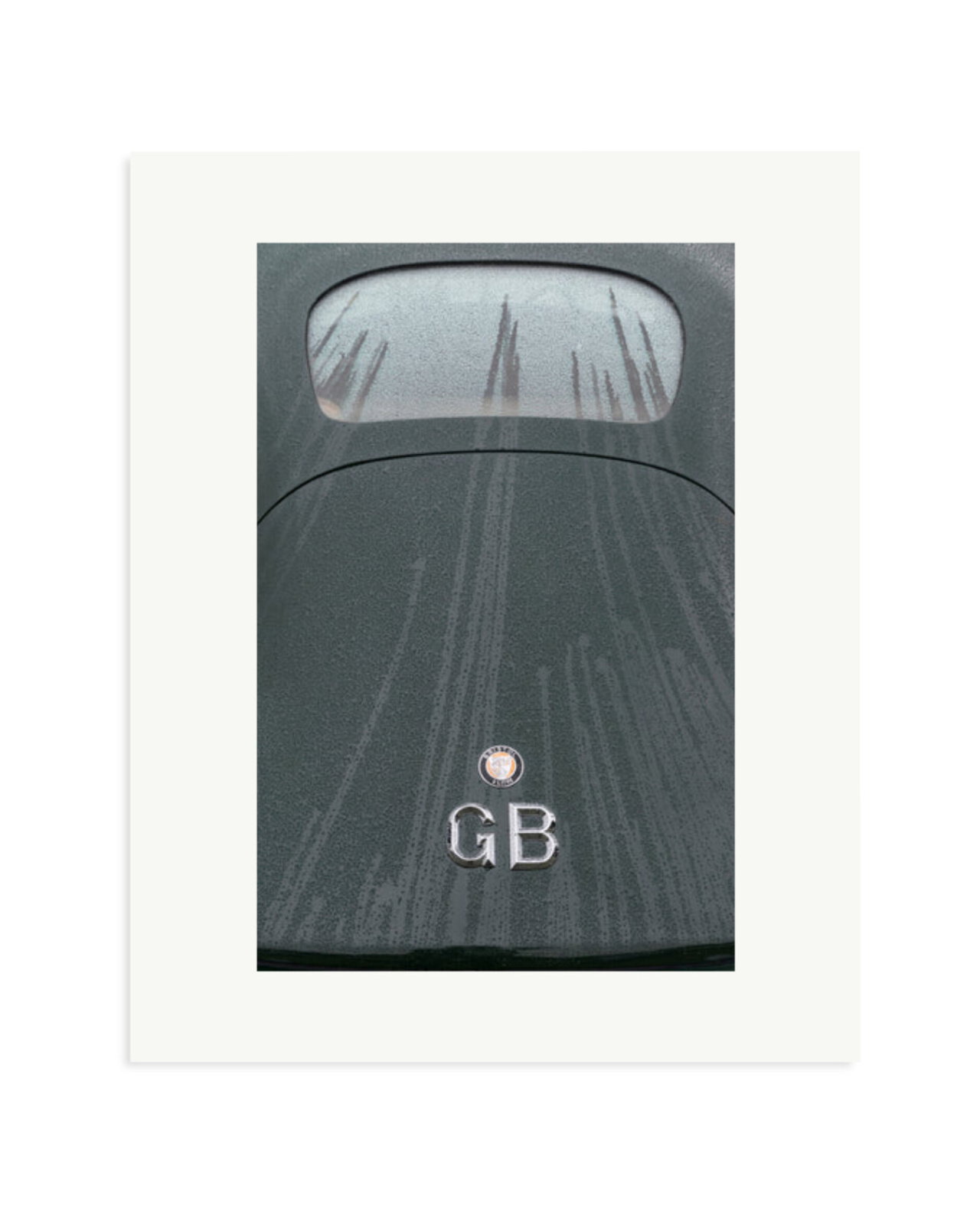 1950 Bristol 401 Print Only / Medium