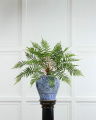 Fern Potted Plant green