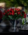 Tulpe Schnittblume rot