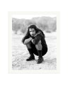 Chris Cornell Print Only / XXL