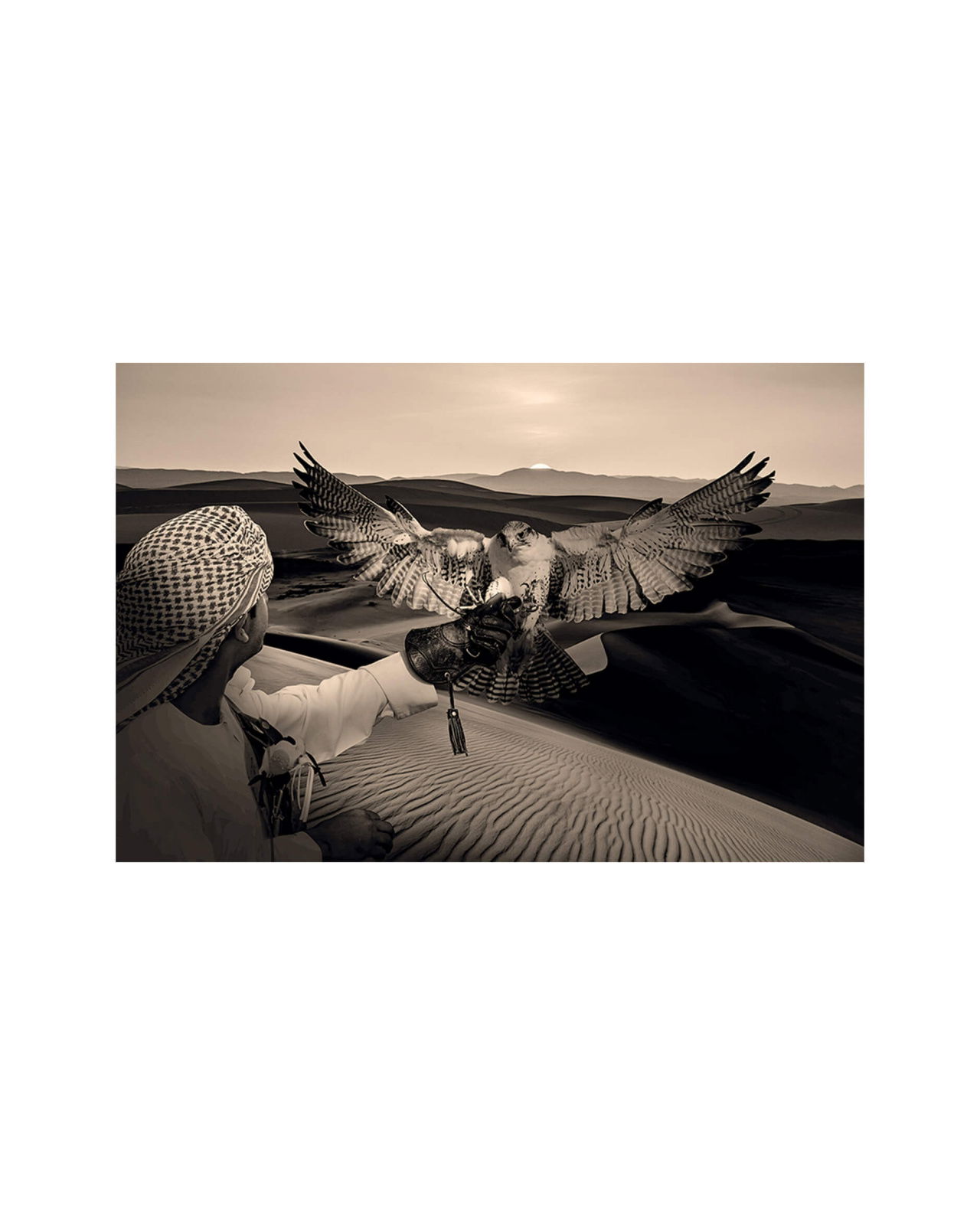 Arabian Hunt