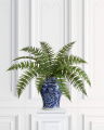 Fern Leaf Green