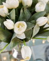 Tulip Cut Flower White