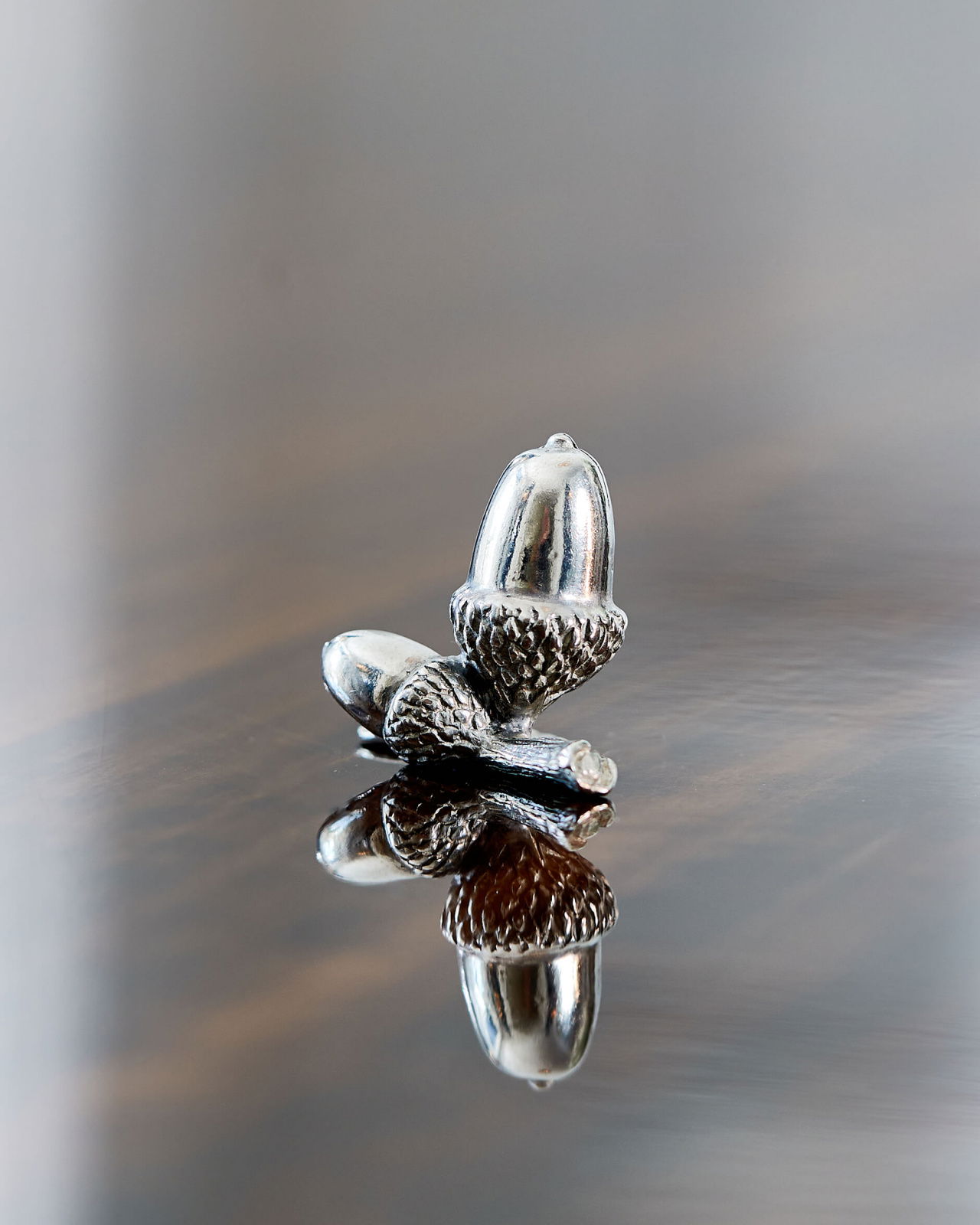 Ekollon placeringskortshållare tenn