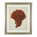 Antique Red Corals