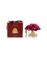 Cinq Roses gavesett