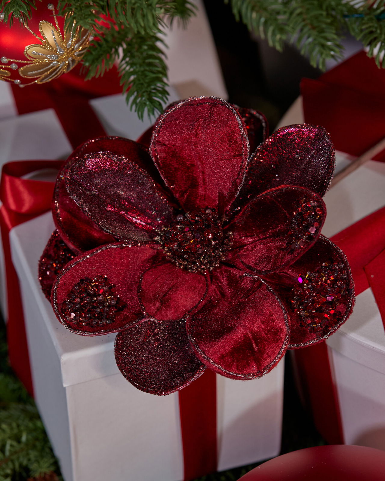Magnolia koristeoksa viininpunainen