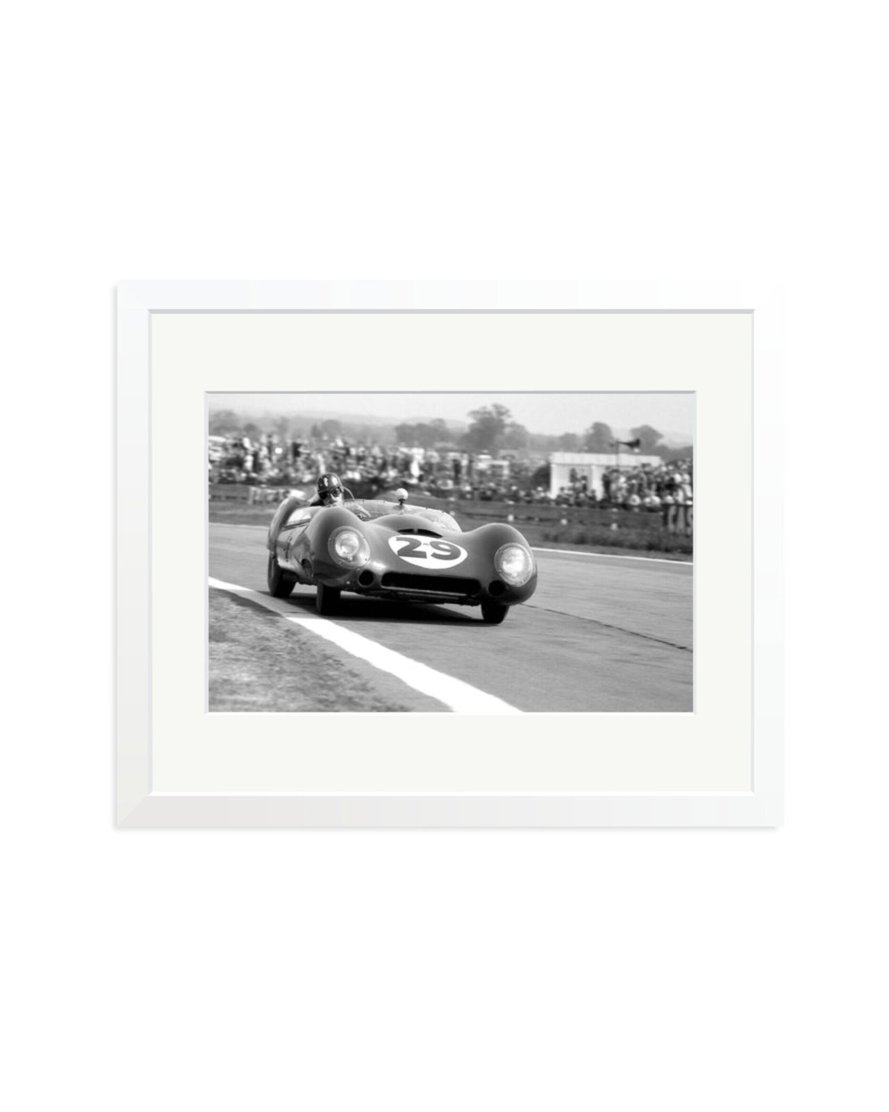 Goodwood Tourist Trophy White / Medium
