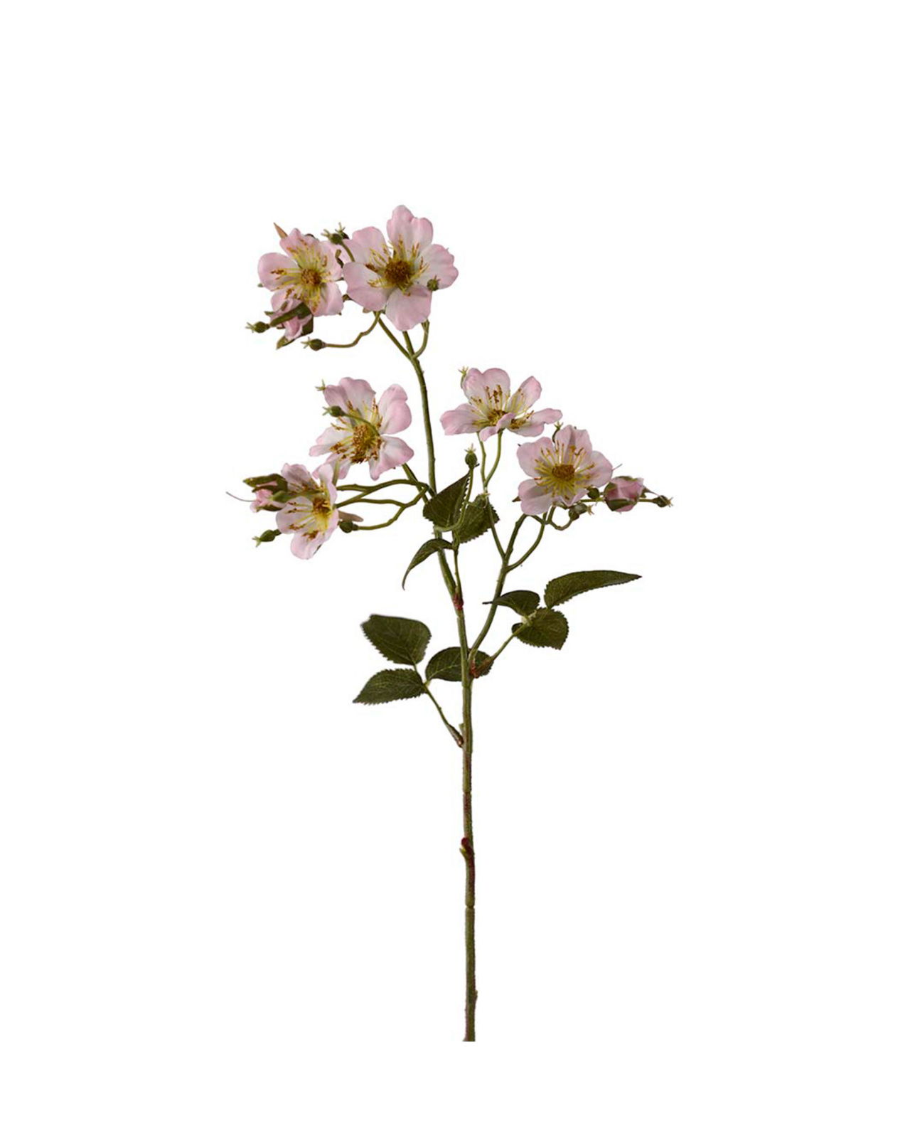 Japanse klimroos snijbloem roze