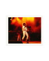Tina Turner on Stage Print Only / XXL