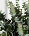 Eucalyptus Cut Flower