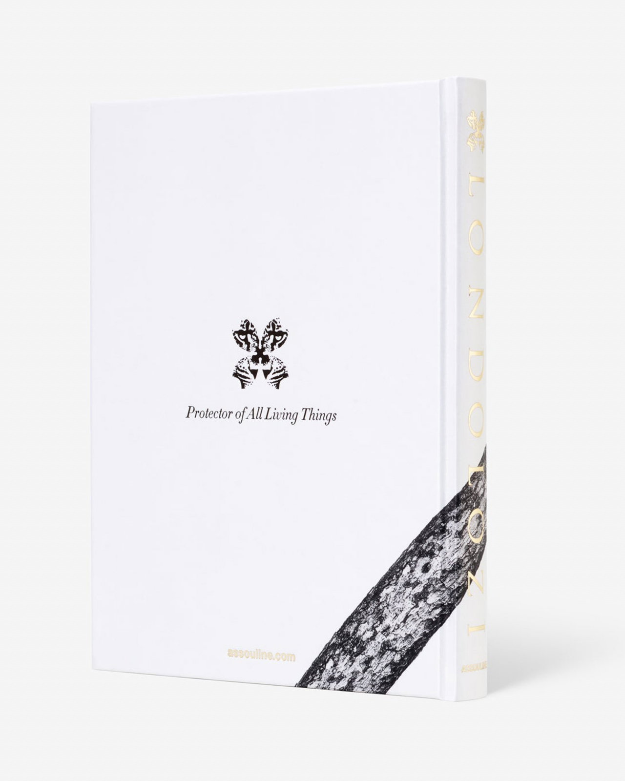 Londolozi, The Safari that Changed Everything