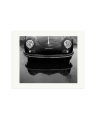 Porsche 356 Nose Print Only / Medium