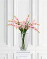 Tuberose Cut Flower Pink