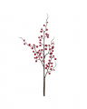 Elsa Berry Twig Red