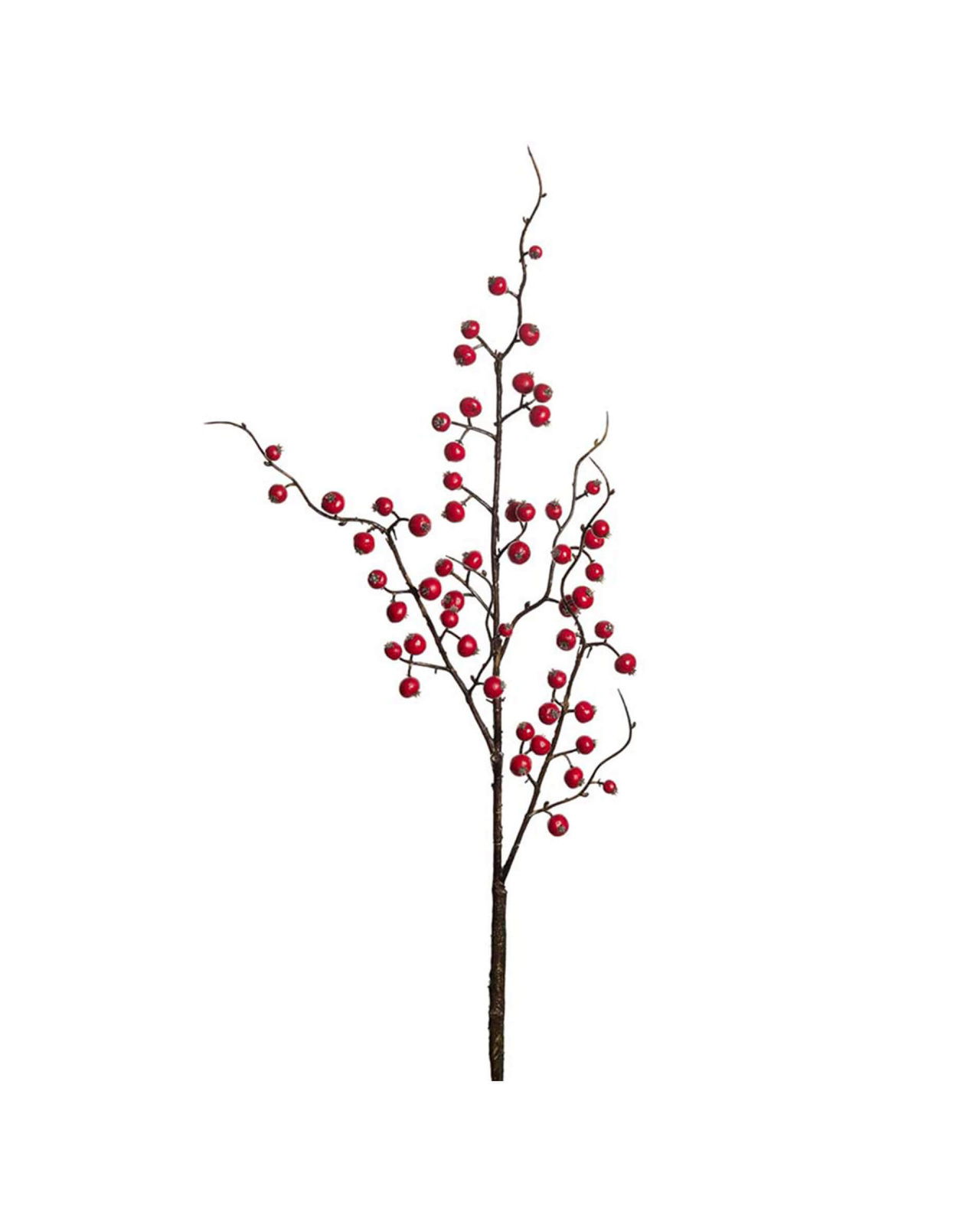 Elsa Berry Twig Red