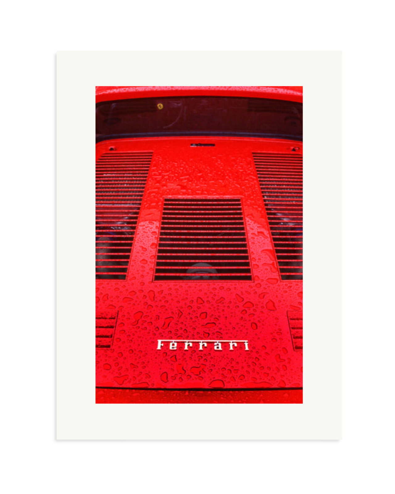 1984 Ferrari Print Only / XL