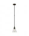 Parkington 9" Pendant Bronze/Clear Glass