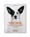 The Dog in Photography